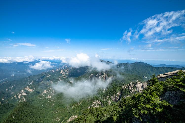 上海最好的男性医院(上海九龙男科医院)